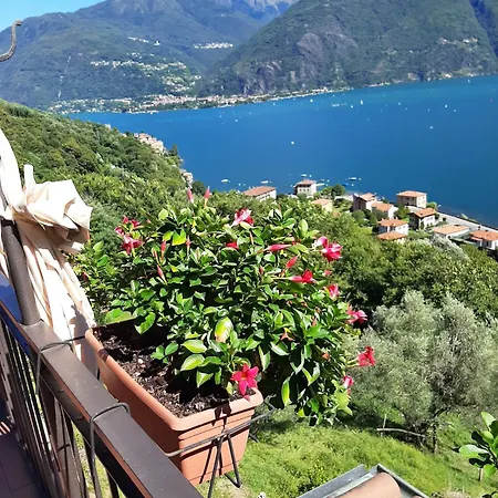 Betty's Balcony, Wonderful View Apartment *